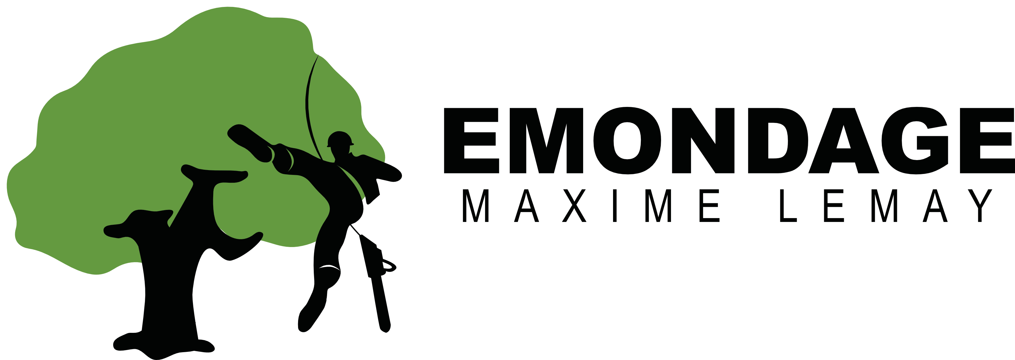 Service professionnel d'émondage – Laurentides – Rive-Nord de Montréal